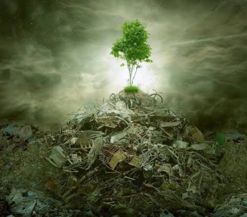 How Electronic Waste Affects the Environment and What Businesses Can Do